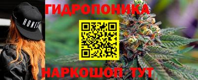 альфа пвп Ачхой-Мартан